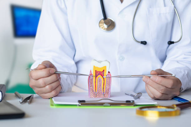 Best Orthodontic Emergency Dentist in Cambridge, MD